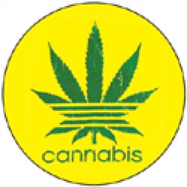 Cannabis