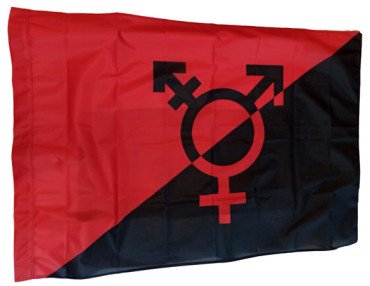 Fahne "Antitransphobic"