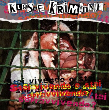 Klasse Kriminale - Stai vivendo o stai Sopravvivendo?