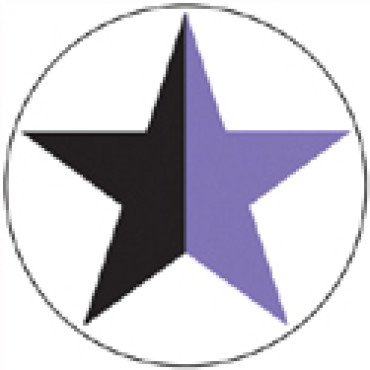 Stern schwarz-violett