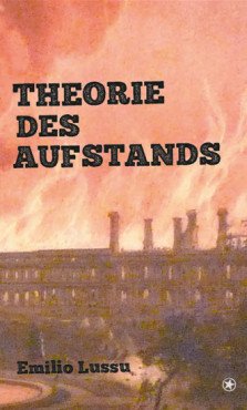 Theorie des Aufstands