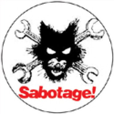 Wildcat 2