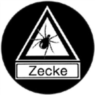 Zecke