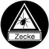 Zecke