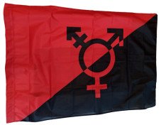 Fahne "Antitransphobic"
