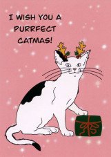 Postkarte "Purrfect catmas"
