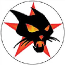 Wildcat 1